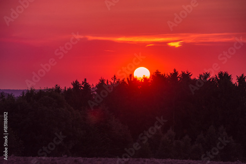 Sonnenuntergang im Wald in Krenglbach photo