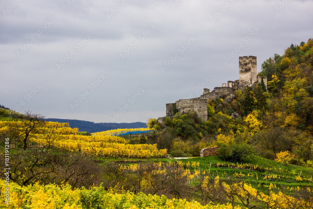 Spitz castle with autumn vineyard in Wachau valley, Austria.