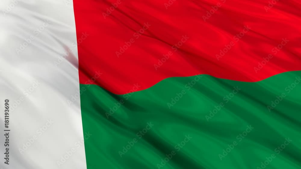 Madagascar Flag Waving. Seamless loop. Madagascar Flag Waving. Seamless loop.