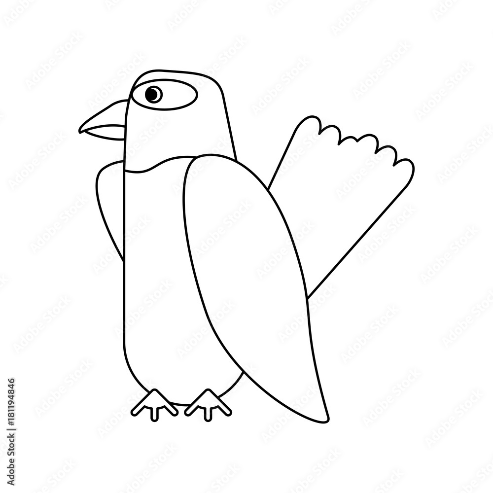 Beautiful parrot bird icon vector illustration graphic design Beautiful parrot bird icon vector illustration graphic design