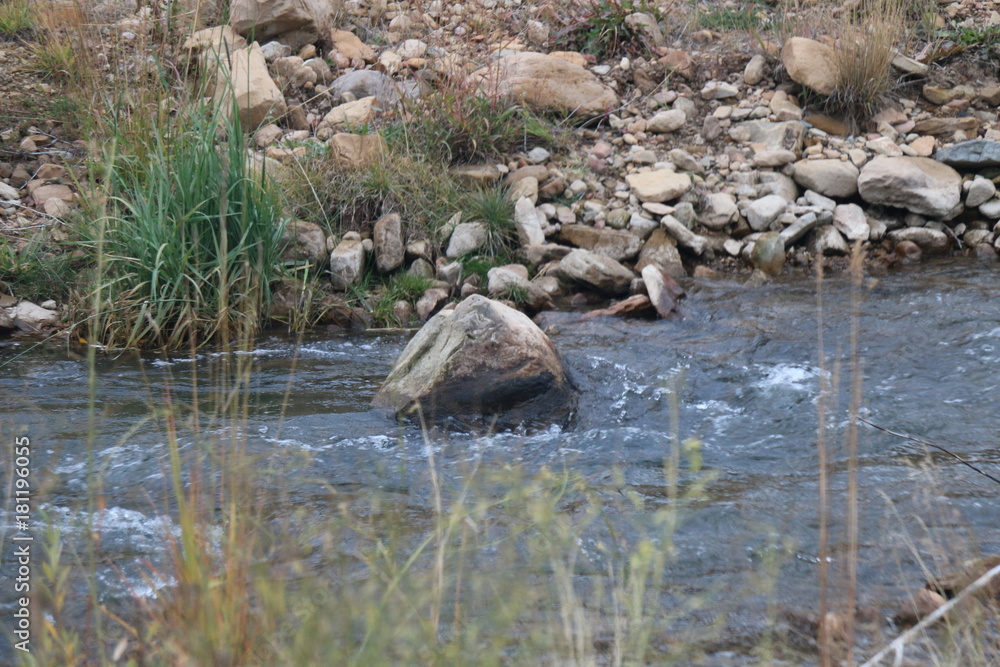 Fototapeta premium Rock in Stream