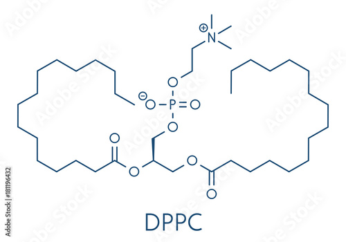 Pulmonary surfactant molecule. Chemical structure of dipalmitoylphosphatidylcholine (DPPC) the major constituent of lung surfactant. Skeletal formula.