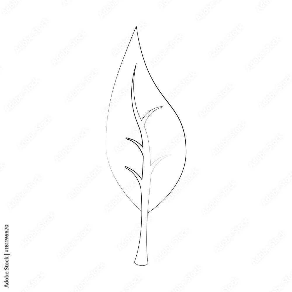 Leaf eco symbol icon vector illustration graphic design