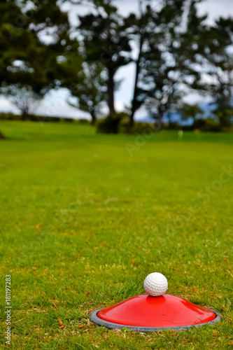 New Zealand Golf Course with a ball waiting to be played