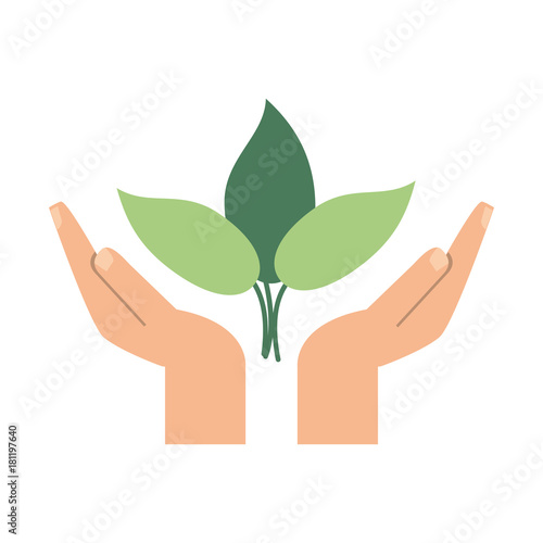 leaves eco symbol icon vector illustration graphic design
