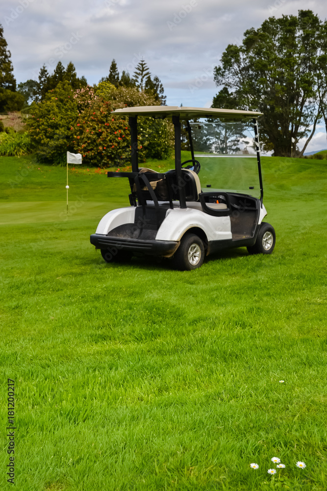 New Zealand Golf Course and Golfers Kart
