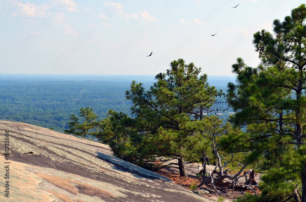 View from Stone Mountain