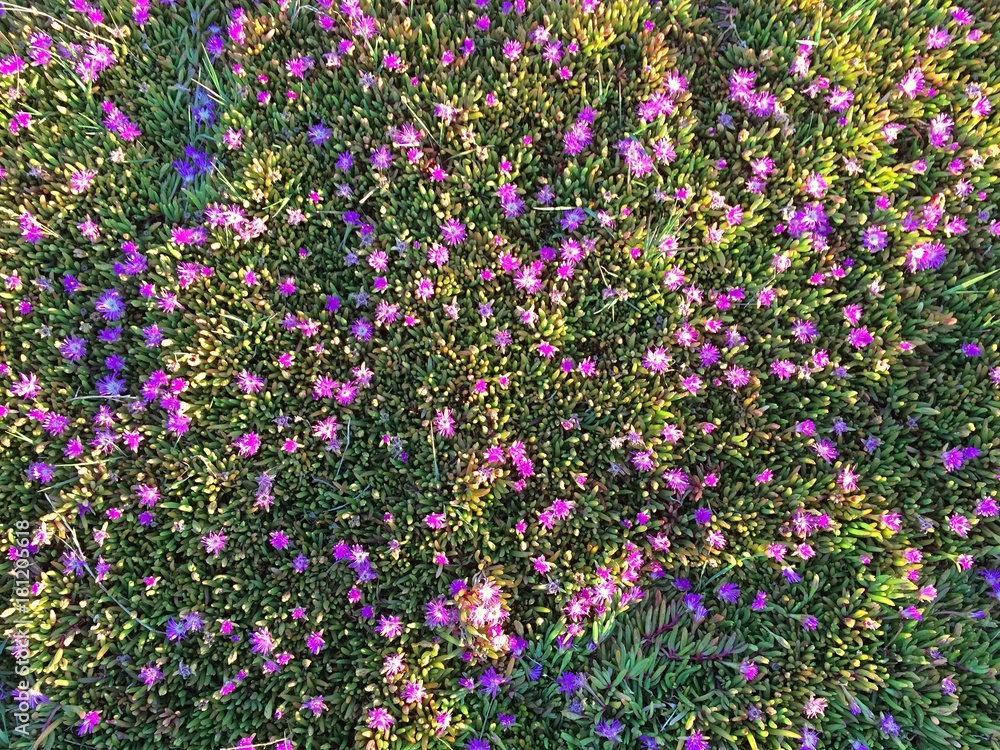colourful of spring season colourful of spring season