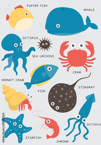 Fish aquarium tropical aquatic vector illustration