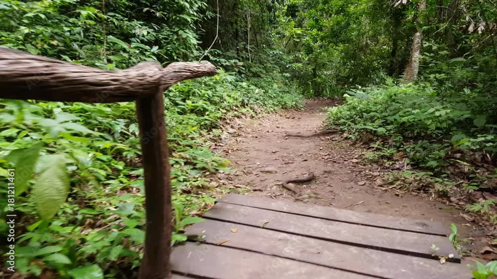 Walking into a rain forest in Thailand
Walking into a rain forest in Thailand