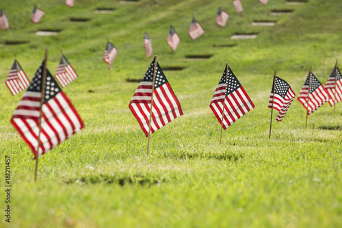 Flags on the cemetary