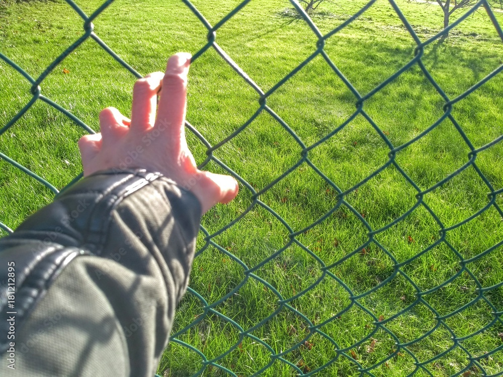 hand holdin a web metallic fence closeup hand holdin a web metallic fence closeup