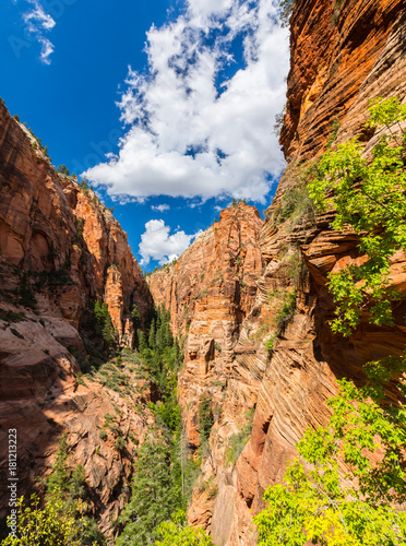 Zion National Park scenery, on the Angel's Landing trail