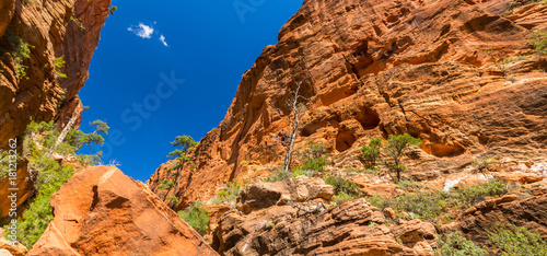 Zion National Park scenery, on the Angel's Landing trail