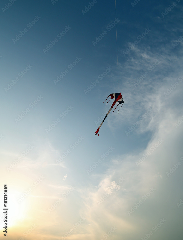 Fototapeta premium kite symbol of freedom flies in the sky at sunset