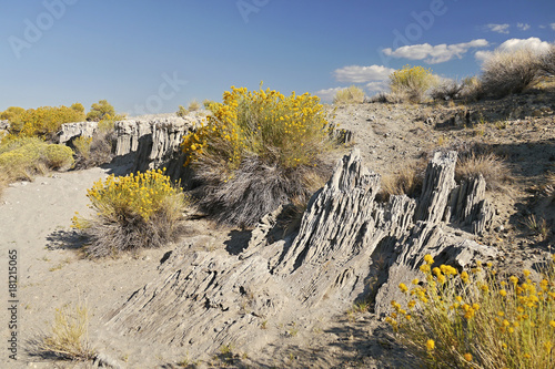 The delicate sand tufas on Navy Beach at Mono Lake, California photo