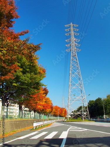 鉄塔と秋の欅