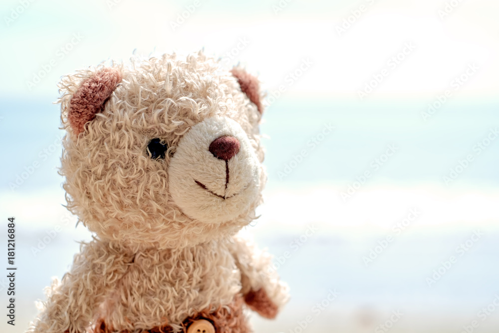 Smiling teddy bear doll on the beach background with sunlight and soft tone Smiling teddy bear doll on the beach background with sunlight and soft tone