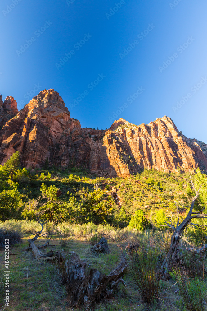 Obraz premium Bright scenery in Zion National Park, Utah, with red rock formations and clear blue sky