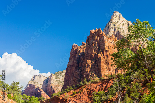 Bright scenery in Zion National Park, Utah, with deep blue skies and red rock formations
