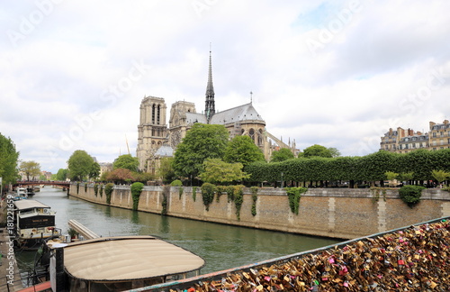Vue arrière de Notre-Dame et les quais de la seine depuis un pont aux cadenas