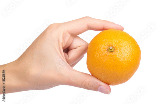 mandarin orange in hand close up isolated on white background