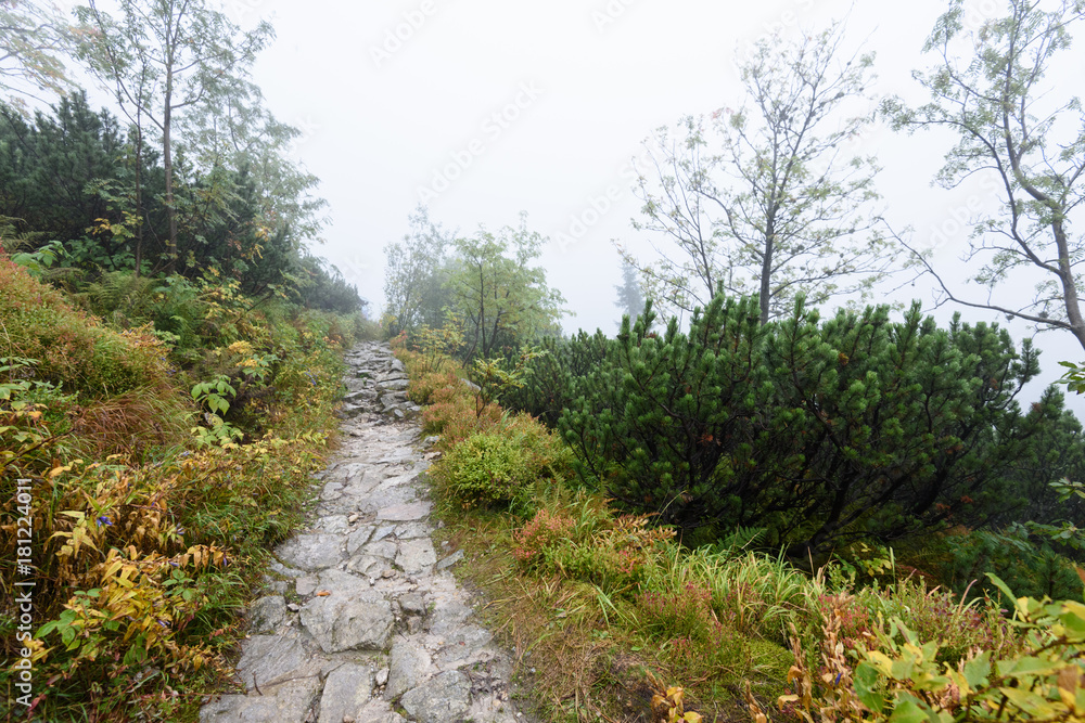 mountain tourist trail in autumn covered in mist mountain tourist trail in autumn covered in mist