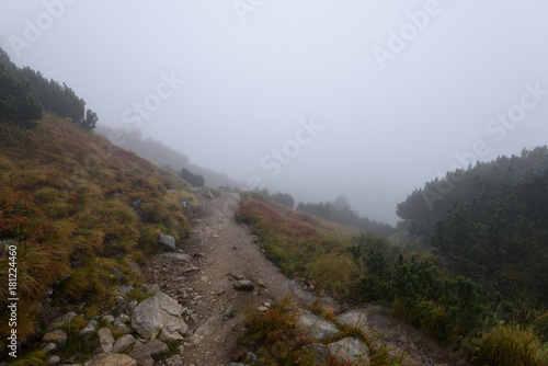 mountain tourist trail in  autumn covered in mist © Martins Vanags