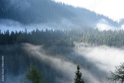 mountain tops in autumn covered in mist or clouds