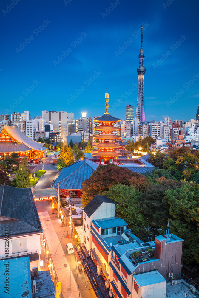 Naklejka premium Tokio. Obraz pejzaż panoramę Tokio podczas zmierzchu w Japonii.