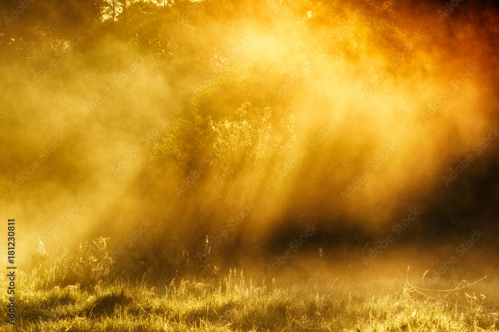 river. Spring morning by the picturesque river, golden rays in the fog river. Spring morning by the picturesque river, golden rays in the fog