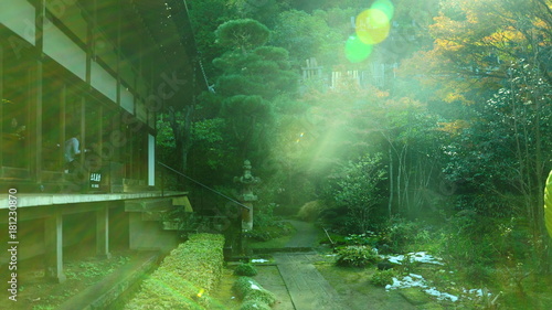 鎌倉の寺の庭園