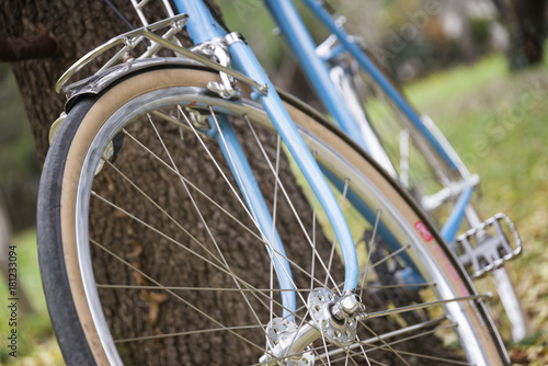 Blue Bicycle Leaning On A Tree