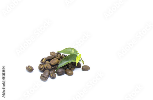 Coffee beans with leaves
