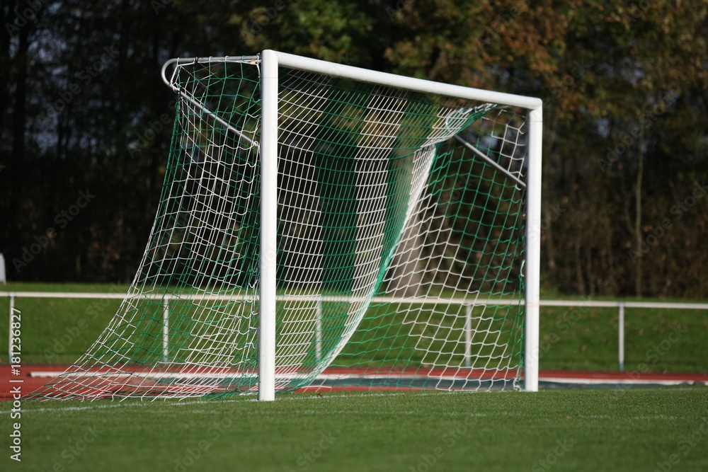 Fototapeta premium Fußballtor