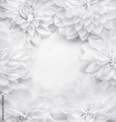 Fototapeta Naklejka Na Ścianę i Meble -  Creative white flowers frame background , floral pattern or layout for greeting card of  Mothers day,birthday, Valentine's Day, wedding or happy event, top view