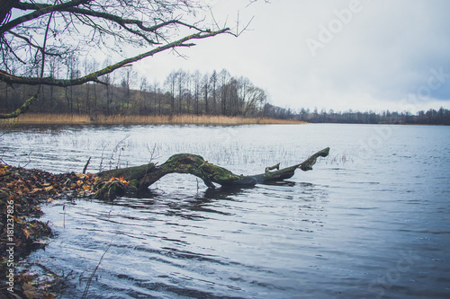 View of the lake in autumn