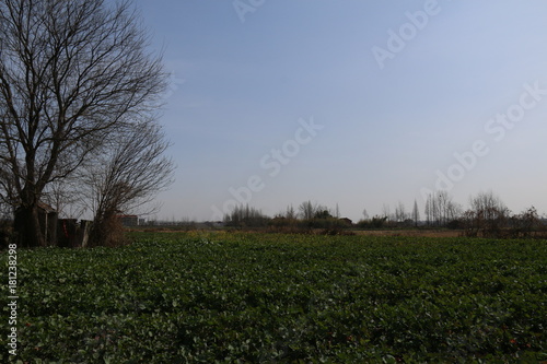 Wallpaper Mural Countryside in China Torontodigital.ca