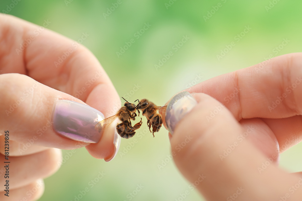 Woman holding honeybees on blurred background