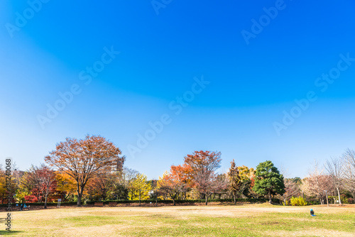 秋晴れの空と住宅街の公園