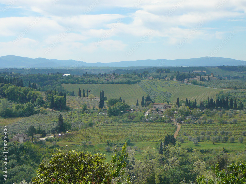 View of the country of San Gimignano