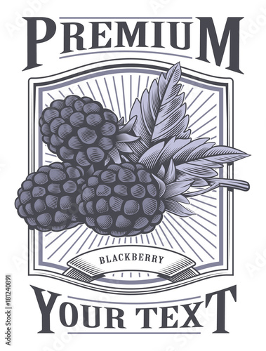 Blackberry vector vintage label
