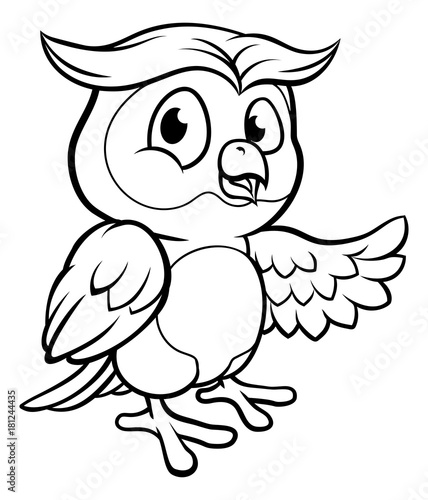 Cartoon Owl Character