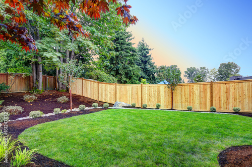 Nice fenced backyard with new planting beds photo