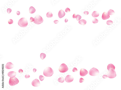 Flying Rose Petals Confetti. Vector Realistic Blossom Illustration. Love, Wedding, Valentine Decoration, Japanese Sakura Ornament. Falling Down Rose Petals Confetti, Magic Showering Floral Background