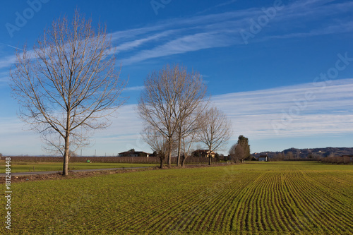 A gennaio la natura si risveglia photo