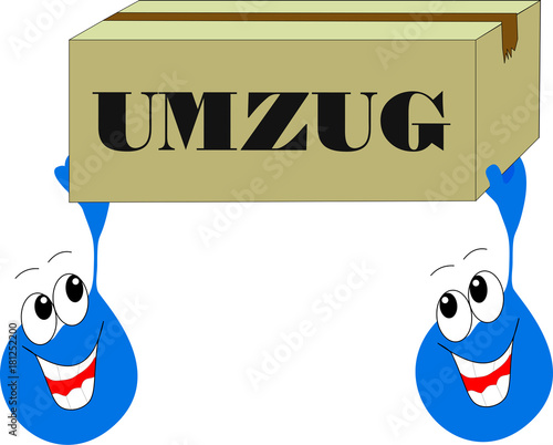 Umzugshelfer tragen Umzugskarton
