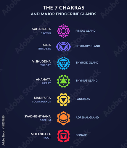 Chakra system infographic