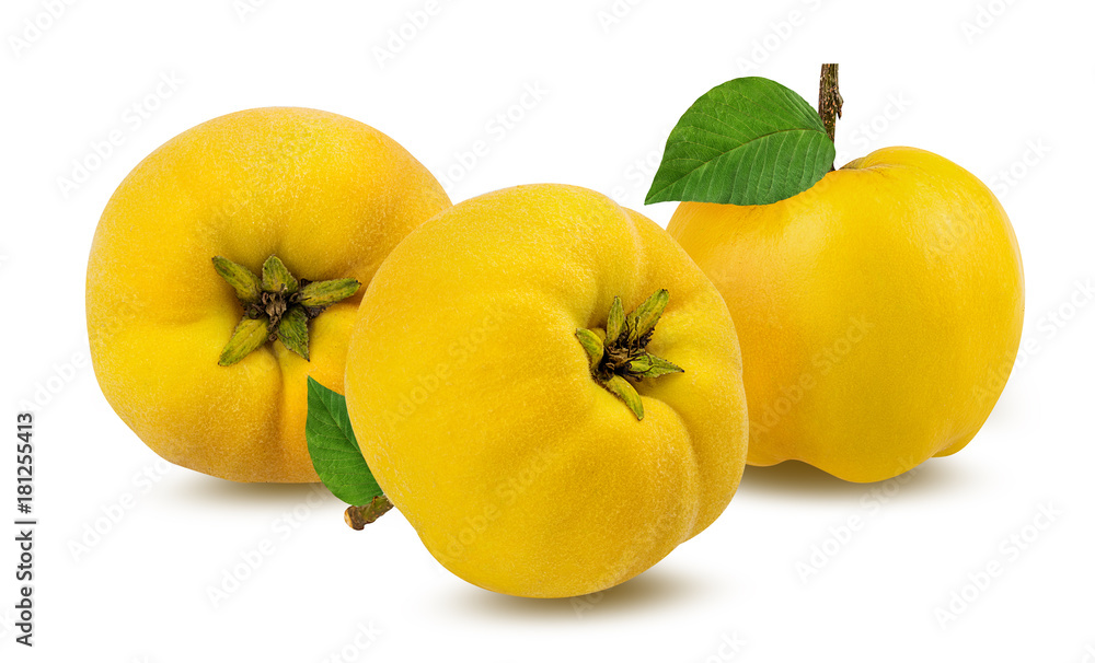 Three fresh quinces with leafs isolated on white background with clipping path Three fresh quinces with leafs isolated on white background with clipping path