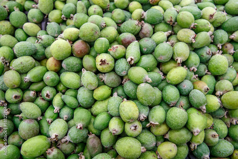 feyhua feijoa on the counter market feyhua feijoa on the counter market